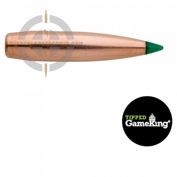 Tipped GameKing 4110 Geschoss